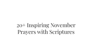 20+ Inspiring November Prayers with Scriptures